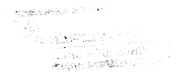 Качество - наш конек!